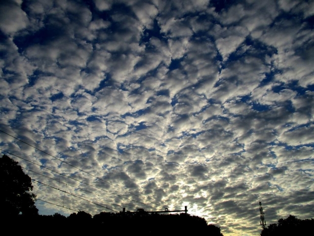 Altocumulus
