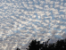 Altocumulus bewolking_ Herman Simons